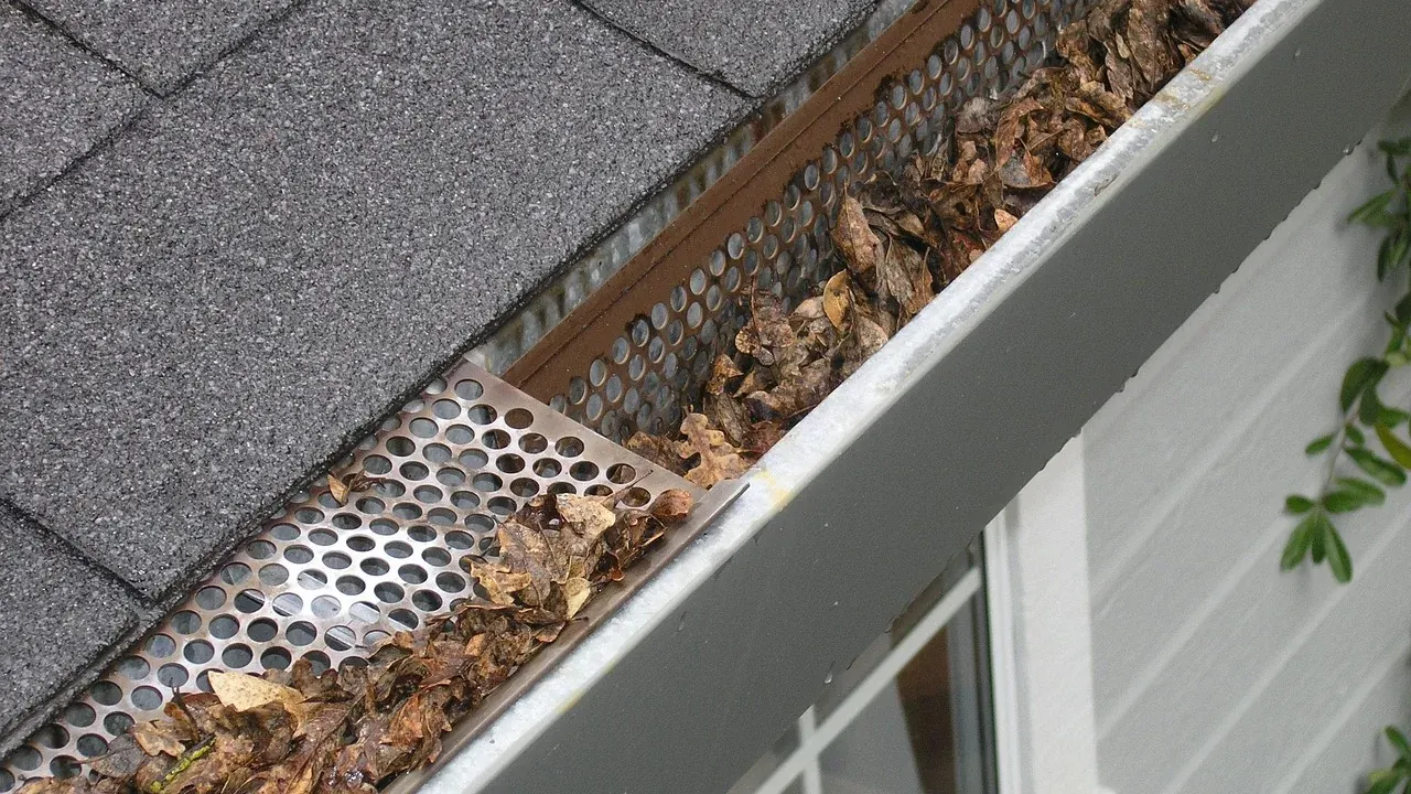 Perforated metal gutter guard over a gutter filled with dry leaves